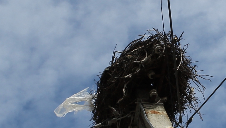 Three degrees of plastic bags and how they degrade